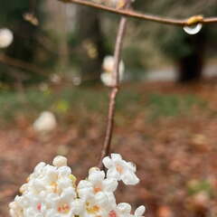 24-12-08 11-34-19 1752